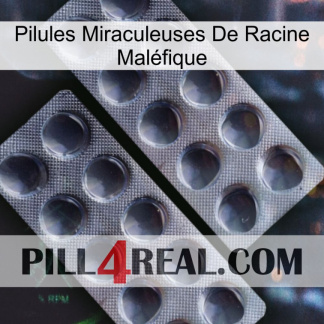 Pilules Miraculeuses De Racine Maléfique 31